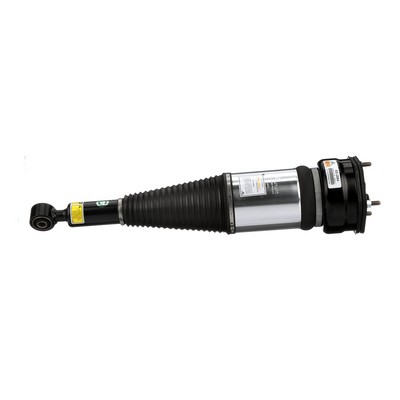 OEM Suspensie pe aer LS 500 XF50 2020 4801050110, 4801050120, 4801050130 Arnott