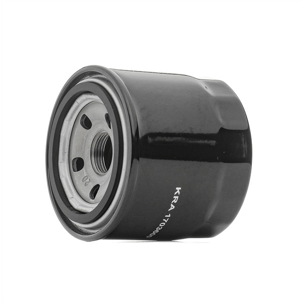 Billige Hersteller-Ölfilter 1703600 vergleichbar mit 15208AA024 OEM-Nr im Web einkaufen