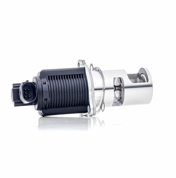 Compre Válvula EGR 121-01-020 original asequible comparable con números OEM online 8200004883