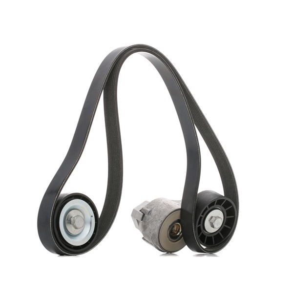 Komplet rebrastega jermena IVECO v originalni kakovosti 500055845, 4PK985, T36403 od DAYCO