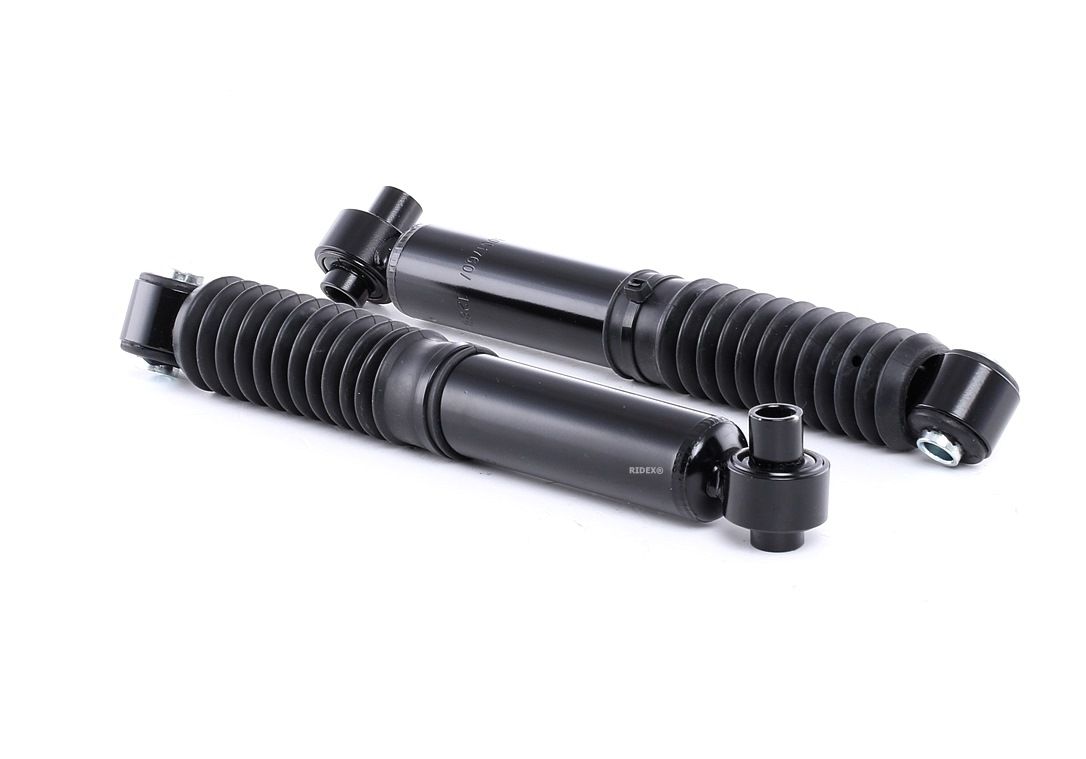 Kupite RIDEX Blažilnik Št. izdelka: 854S1749 po nizki ceni 37,44 €