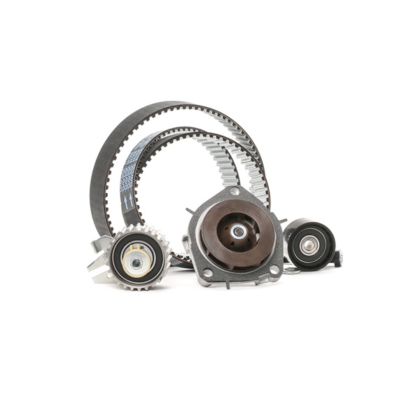 Acquista online Kit cinghia distribuzione, pompa acqua 3096W0093 originale a buon mercato, comparabile con i numeri OEM 55200072
