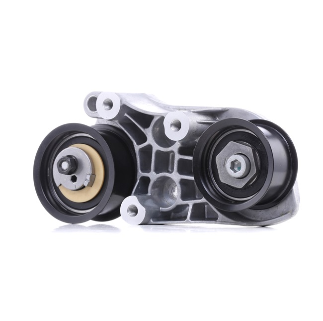 OEM Napínacia kladka ozubeného remeňa OPEL 2.5 V6 (F69, M69, P69) 170 HP Benzín 11094021 od RIDEX online za výborné ceny
