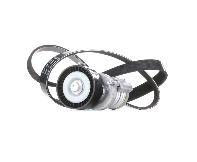 Kupte si levné originální Sada zebrovanych klinovych remenu SKRBS-1200048 porovnatelné s 030145299C OEM čísly online