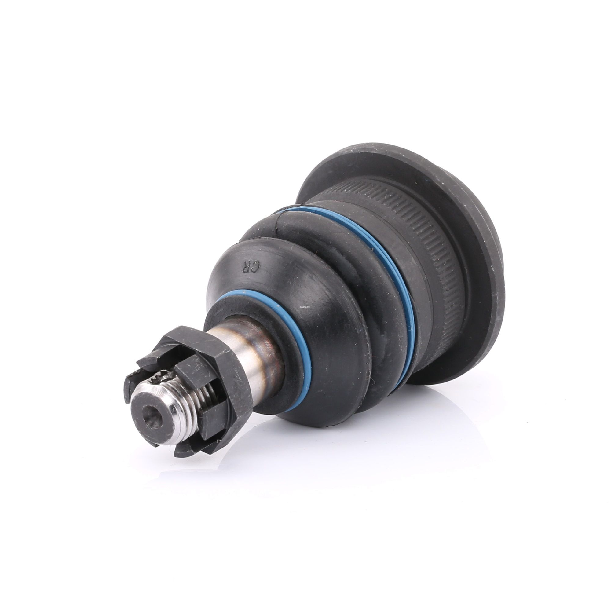 Įsigykite RIDEX Šarnyras Prekės Nr.: 2462S0132 už žemiausią 13,02 € kainą
