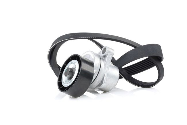 Iegādājieties lēti oriģinālo Ķīļrievu siksnu komplekts 542R0006 comparable with 5750PL OEM numbers online