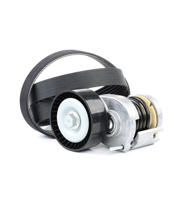 Køb billige originale Kileremssæt 542R0041 tilsvarende med 038903315AG OEM numre online