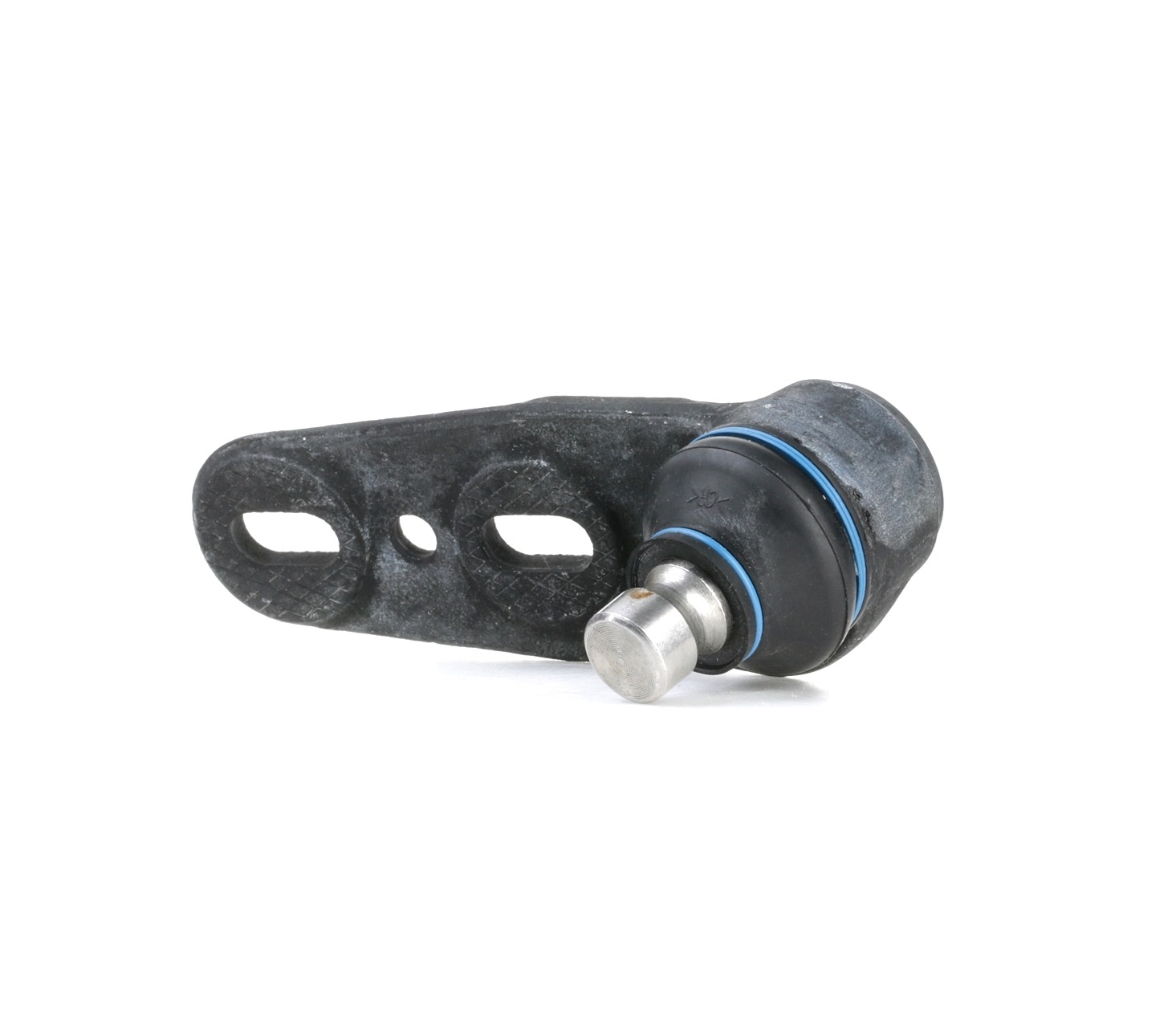 Įsigykite RIDEX Šarnyras Prekės Nr.: 2462S0219 už žemiausią 10,05 € kainą