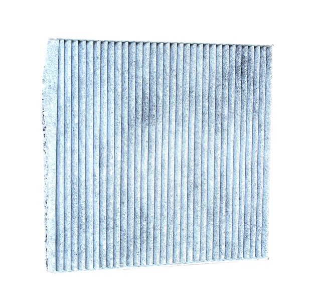 OEM Filtro de habitáculo KIA 1.6 CVVT 124 CV Gasolina 087902E200 de RIDEX online a precios inmejorables