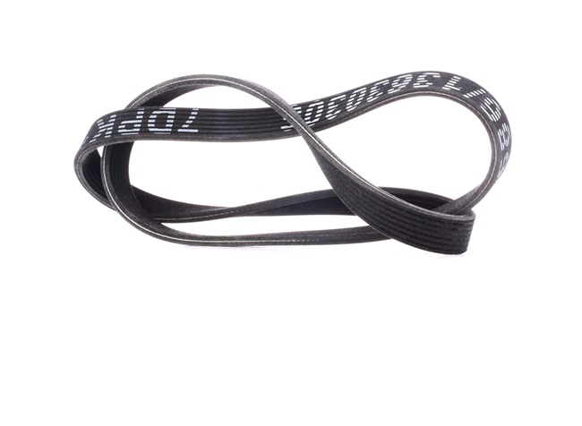 Acquista online Cinghia servizi 305P0356 originale a buon mercato, comparabile con i numeri OEM 021145933H