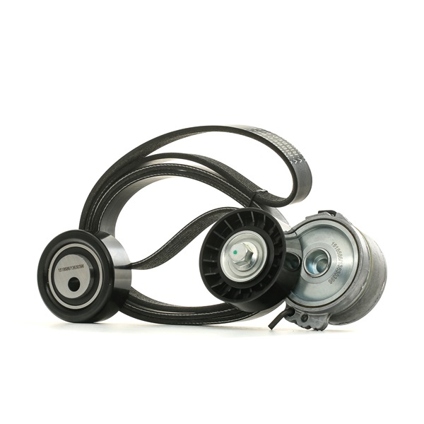 Kupte si levné originální Sada zebrovanych klinovych remenu 542R0002 porovnatelné s 9644846680 OEM čísly online