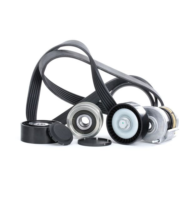Koop online goedkoop originele Poly V-riem set 542R0014 vergelijkbaar met 03L903023E OEM-nummers