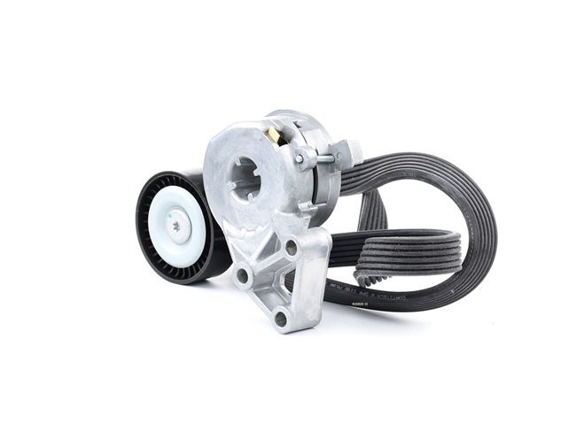OEM Σετ ιμάντων poly-V VW 2.0 4motion 120 PS Βενζίνη 06A260849B από την RIDEX ηλεκτρονικά σε χαμηλές τιμές