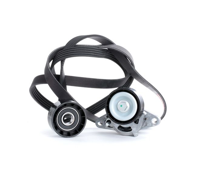Koop online goedkoop originele Poly V-riem set 542R0019 vergelijkbaar met 7701477517 OEM-nummers