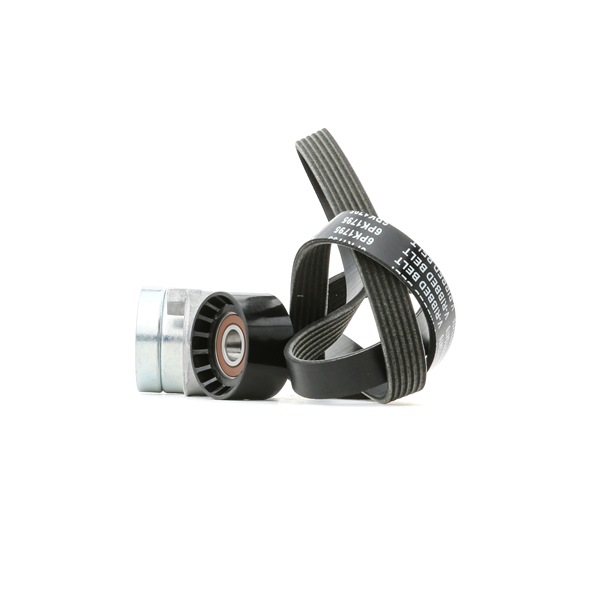 OEM Poly V-riem set RENAULT 1.9 dCi 125 PK Diesel 1172000Q1M van RIDEX online aan geweldige prijzen