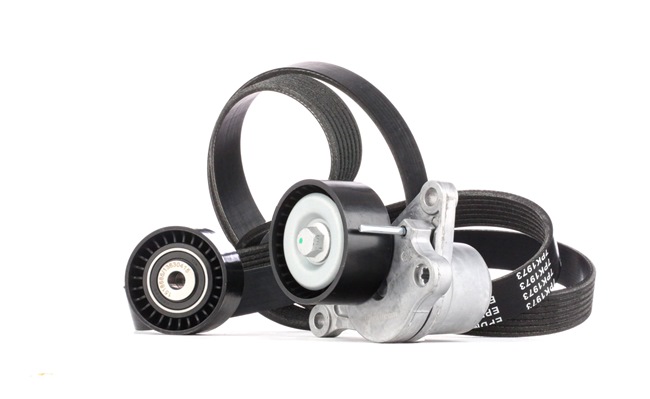 Iegādājieties lēti oriģinālo Ķīļrievu siksnu komplekts 542R0022 comparable with 117507569R OEM numbers online