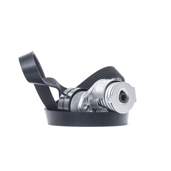 OEM Poly V-riem set RENAULT 2.0 TCe 220 220 PK Benzine 117202122R van RIDEX online aan geweldige prijzen