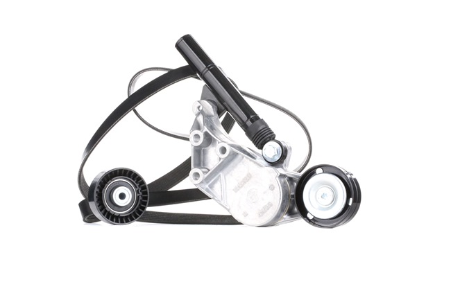 Koop online goedkoop originele Poly V-riem set 542R0040 vergelijkbaar met 11281247986 OEM-nummers