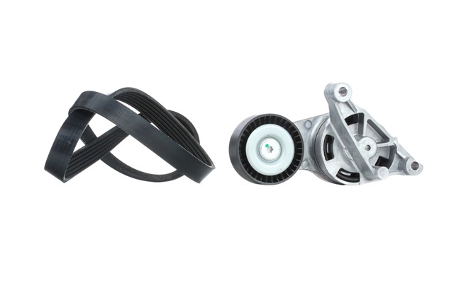 OEM Set curea transmisie cu caneluri SKODA 2.0 TDI 16V 140 CP motor diesel 03G903137B de la RIDEX online la un preț incredibil