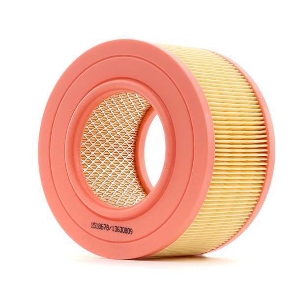 RIDEX 025 129 620 A Luftfilter