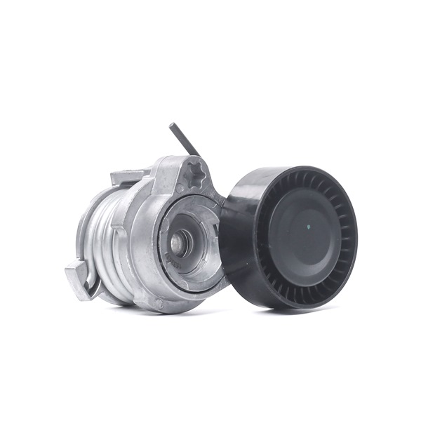 Compre Polea tensora, correa poli V 310T0141 original asequible comparable con números OEM online 11280415304