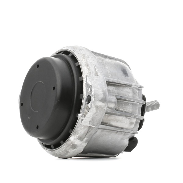 247E0168 RIDEX Motorstütze X1 (E84) sDrive18d 143 PS Diesel