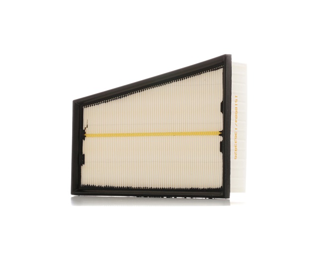 OEM Filtro de ar RENAULT 2.0 TCe 190 CV Gasolina 165463884R de RIDEX online a preços excelentes
