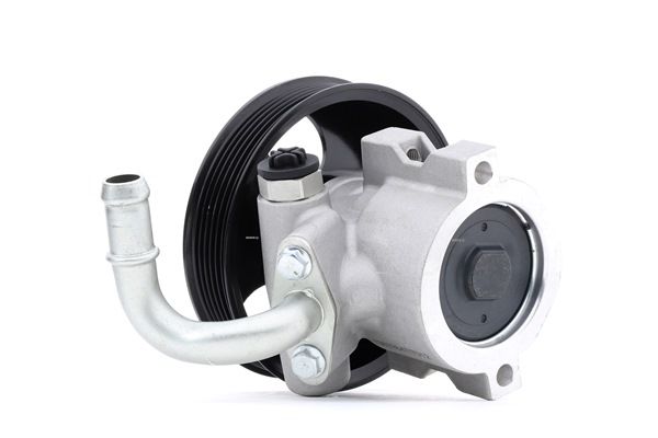 Elektrische Servopumpe CHEVROLET in Original Qualität 25980805, 25980806, 4803416 von RIDEX