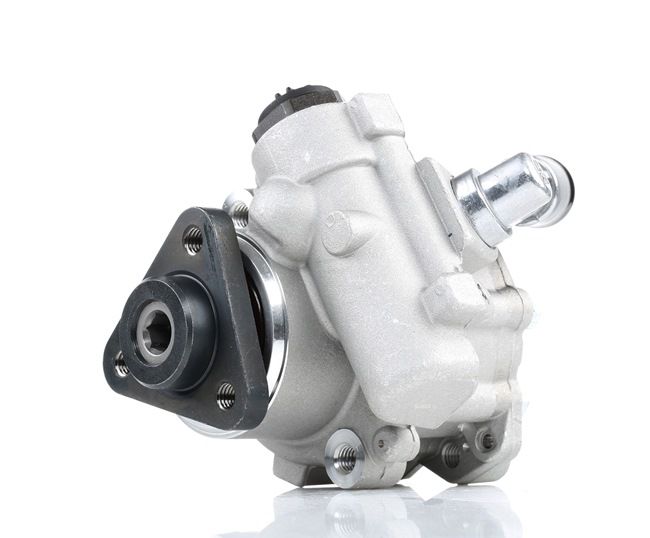 Ostke odavaid originaale Roolivõimu pump 12H0124 mis on võrreldavad 1093577 OEM numbritega internetis