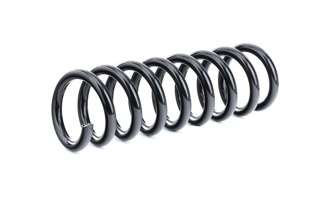 RIDEX A 202 324 25 04 Fahrwerksfeder
