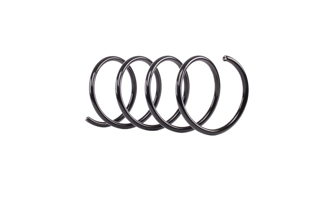 RIDEX A 203 321 42 04 Fahrwerksfeder