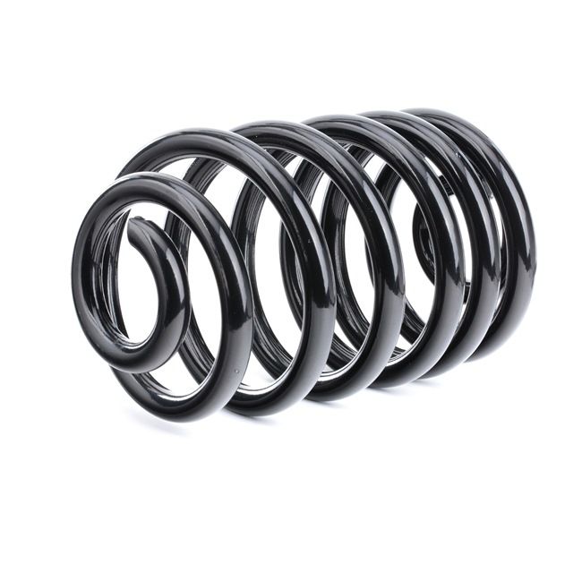 OEM Chassisveer RENAULT 1.9 dCi 100 101 PK Diesel 4409728 van RIDEX online aan geweldige prijzen