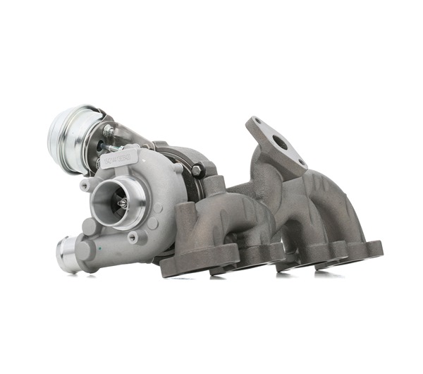OEM Τούρμπο Golf 4 2002 038253010A, 038253010AV, 038253010AX RIDEX