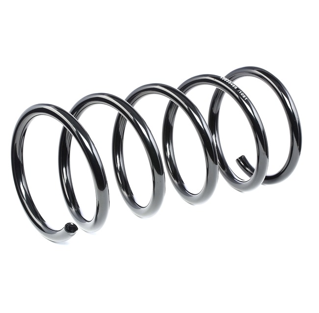 188C0538 RIDEX Stoßdämpfer Feder S60 I (P24, 384) 2.4 CDI 116 PS Diesel