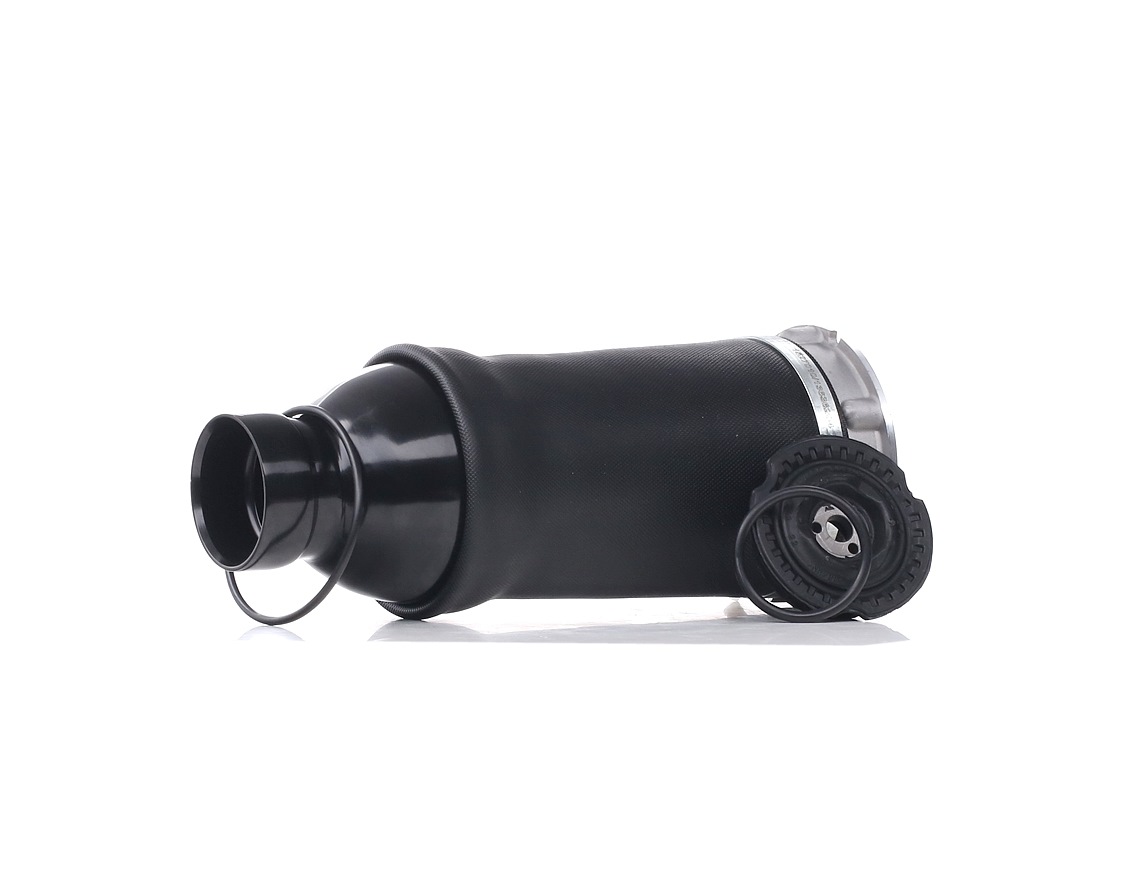 Bestel RIDEX Luchtbalg Artikelnr.: 4119A0003 aan de scherpe prijs van 260,41 €