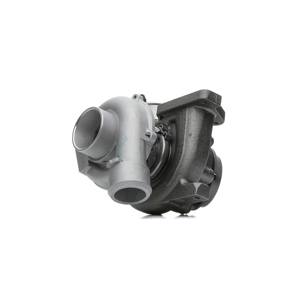 Turbolader MERCEDES-BENZ in originele kwaliteit 6160960199, 6390900880, 6460960199 van RIDEX