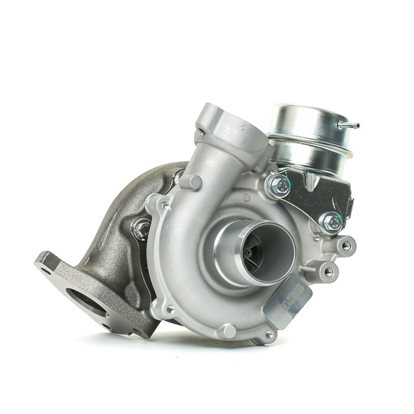 Turbocharger MERCEDES-BENZ in originele kwaliteit 1441100Q2J, 1441100Q3D, 1441100Q4F van RIDEX