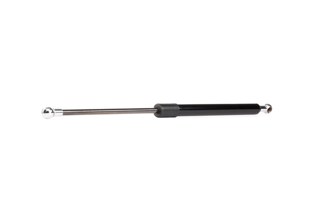 RIDEX 68950-B1030 Heckklappendämpfer