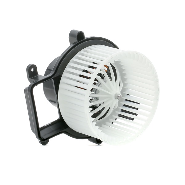 RIDEX Resistenza Ventilatore Abitacolo 2975R0025: Ricambio Compatibile Per Renault Master E Dacia (7 Pin)