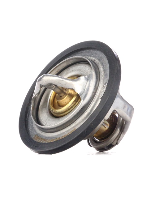Thermostat d'eau OEM CITROËN 1.8 i 16V 110 CH Essence 133839 de RIDEX en ligne à prix imbattables