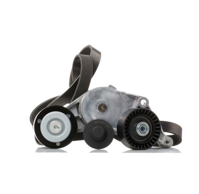 Koop online goedkoop originele Poly V-riem set 542R0030 vergelijkbaar met 11281247986 OEM-nummers