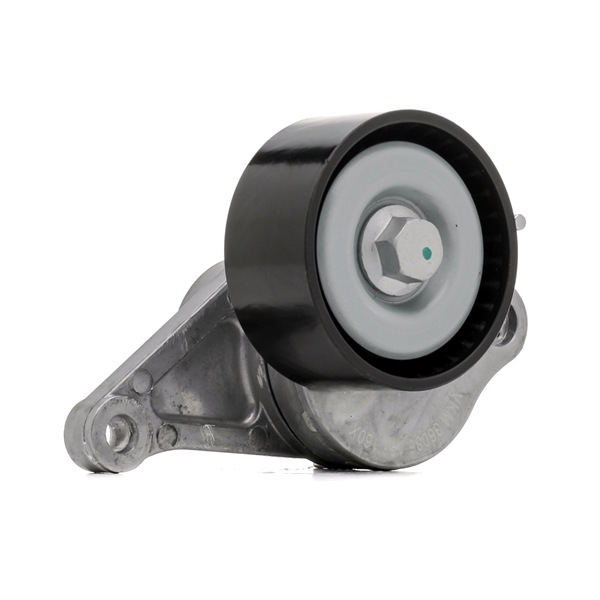 OEM Spanrol, poly V-riem RENAULT 2.0 dCi 163 PK Diesel 117500969R van SKF online aan geweldige prijzen