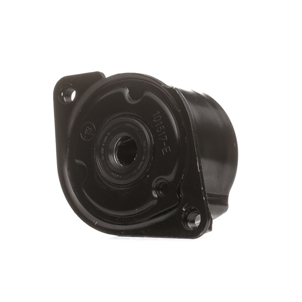 OE Polea tensora correa alternador BMW X3 2020 11287786880, 11287530314, 11288624196 de SKF