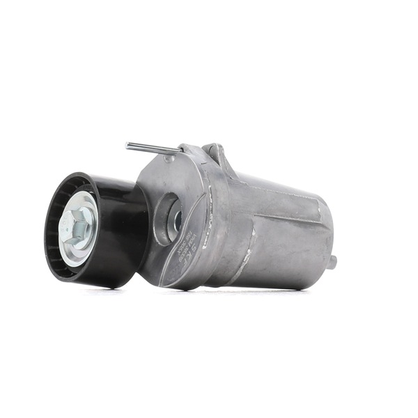OE Rodillo tensor correa alternador BMW 507 1959 11287800333, 6012000970, 6012001270 de SKF