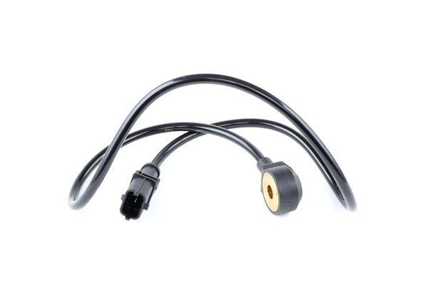 Originale Klopfsensor LANCIA 2.4 170 PS Benzin 46525288 von RIDEX im Internet zu fairen Preisen