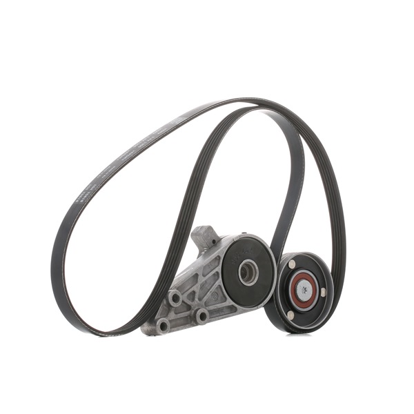 OEM Комплект пистов ремък Audi A4 B5 Avant 1999 0159974792, 058903133C, 058903133D SKF