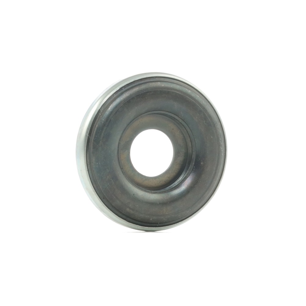 Įsigykite RIDEX Frikcinis guolis, pakabos statramsčio atramos montavimas Prekės Nr.: 1626F0054 už žemiausią 5,06 € kainą