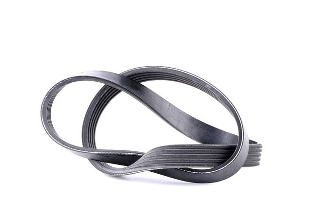 OEM Multireim TOYOTA 2.4 (RZN150, RZN140) 145 HK Bensin 11281437450 fra SKF på nettet til gode priser