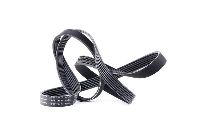 Køb billige originale Kilerem VKMV 6PK1800 tilsvarende med 93181710 OEM numre online