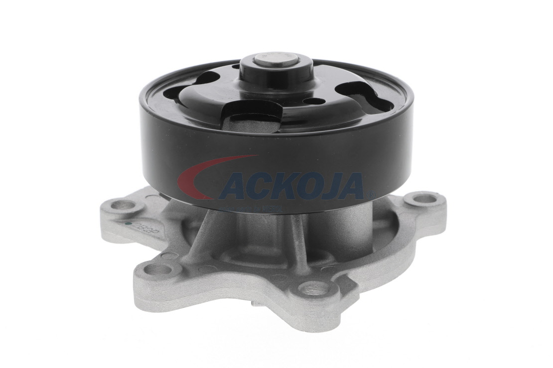 Kupite poceni originalno Vodna crpalka A38-0701, primerljivo z B1010EN20B OEM številke, prek spleta